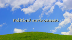 Political environnent